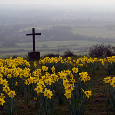 Cross & Daffodils