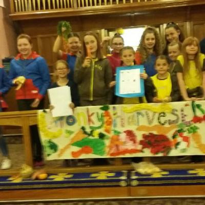 Harvest Guides & Brownies